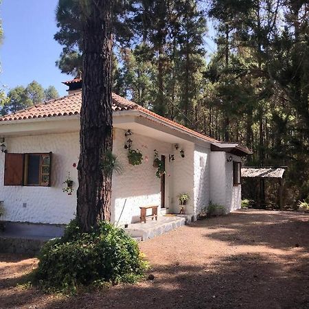 Floral Garden House Villa Icod De Los Vinos Bagian luar foto