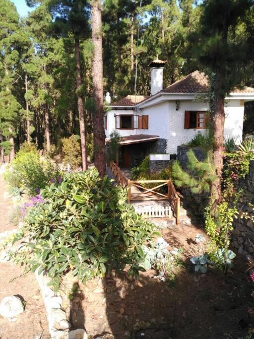 Floral Garden House Villa Icod De Los Vinos Bagian luar foto