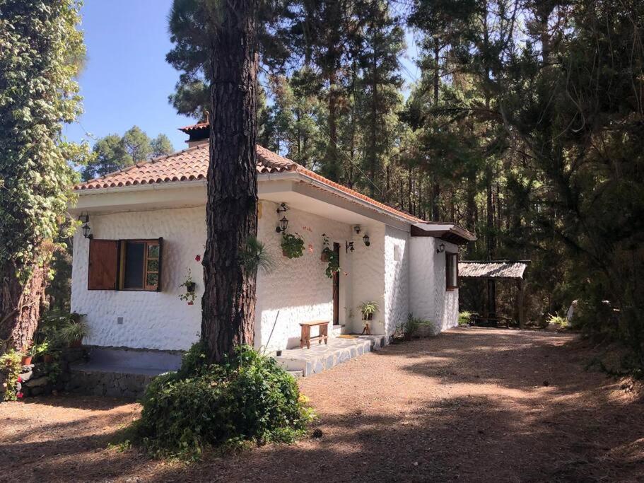 Floral Garden House Villa Icod De Los Vinos Bagian luar foto
