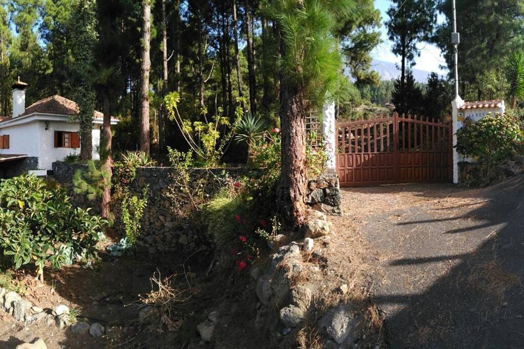 Floral Garden House Villa Icod De Los Vinos Bagian luar foto