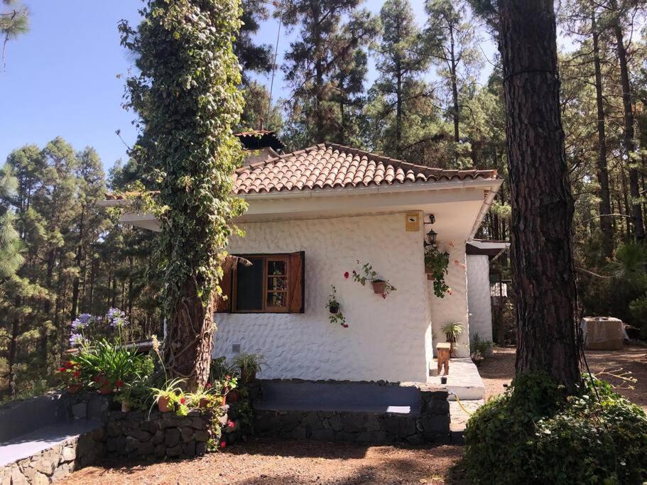 Floral Garden House Villa Icod De Los Vinos Bagian luar foto